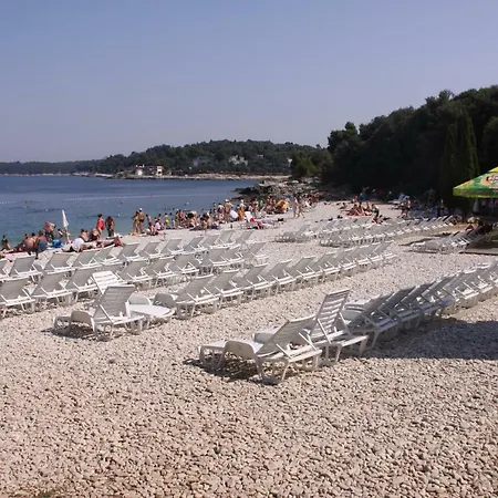 Apartman Paola Daire *